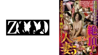 ZOOO-111 Hinako Arisaki breasts JAV